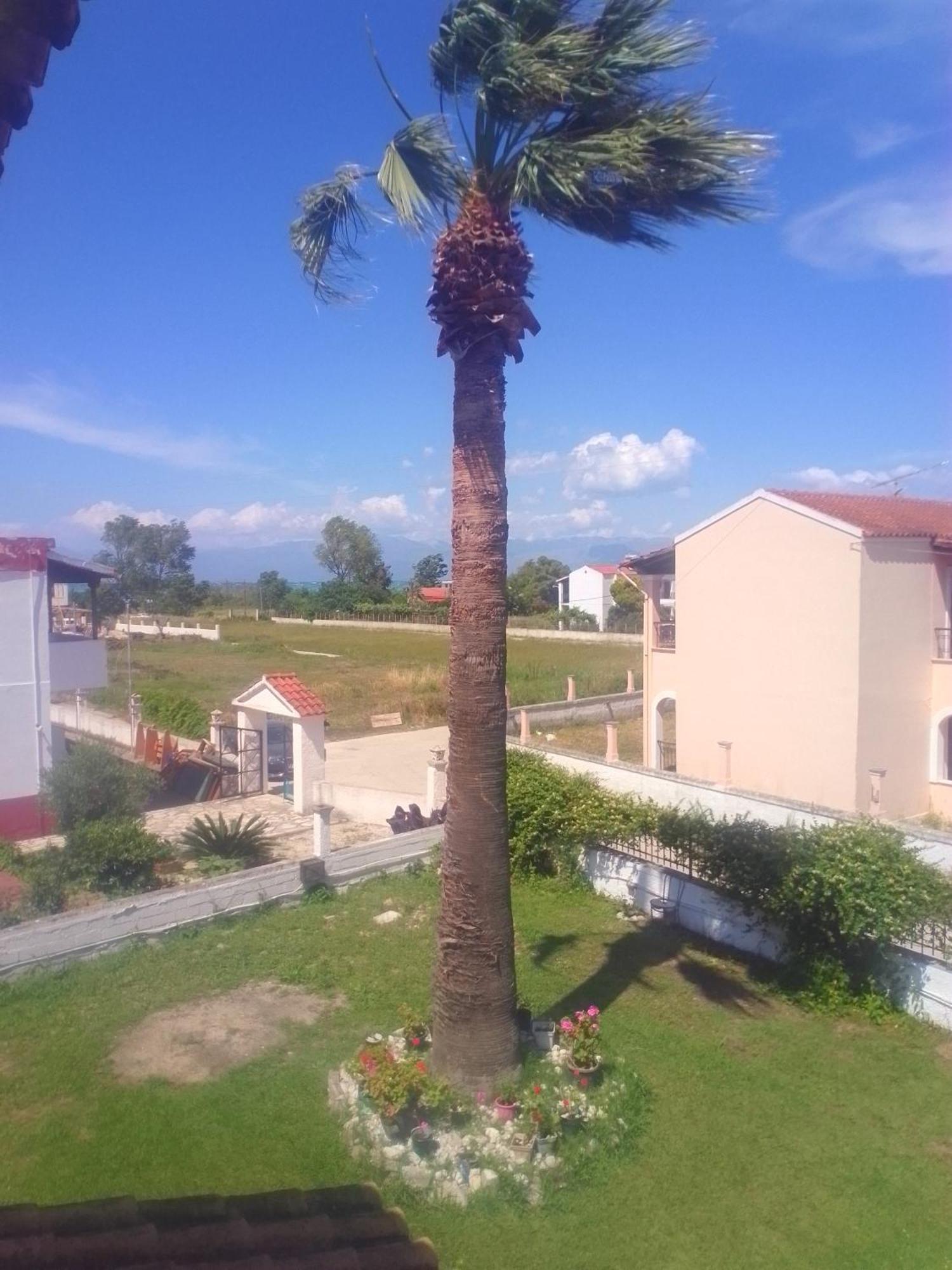 Dolphin Apt & Studios -Next To The Beach Roda  Exterior foto